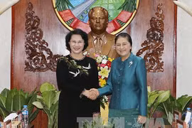 NA leader affirms Vietnam’s interest in fostering ties with Laos 