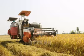 An Giang aims to form more new-style rural areas