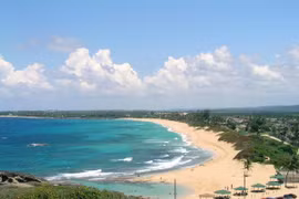 NGO rolls out new website to popularise beautiful central coast 