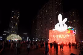 Bunny lantern sets Vietnamese record