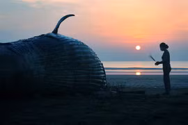Photo contest captures ocean glory