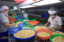 Vietnam continues enjoying trade surplus with Canada 