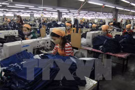 Belgian businesses expand investment in Vietnam 