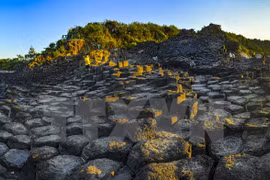 Ghenh Da Dia - unique rock columns on Phu Yen shore