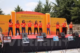 Vietnamese expats in RoK enjoy cultural-sport festival