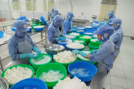 Seafood exports set to top 7 billion USD this year