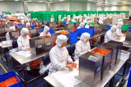 Vietnam attracts over 11 billion USD FDI in first half of 2016