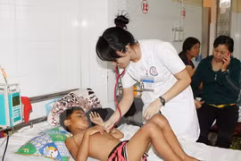 Dengue fever prevention in Gia Lai province inspected