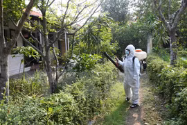 Binh Thuan urged to intensify communication on dengue prevention