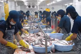 EU-Vietnam free trade deal to benefit both parties 
