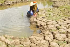 Saltwater continues threatening Mekong Delta 