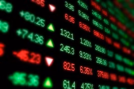 Vietnam stock sector has foundation day 