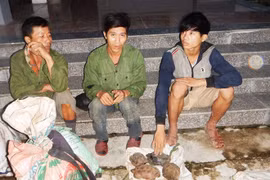 US willing to help Vietnam combat wildlife trafficking 