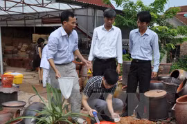 Dengue fever incidence spirals in Khanh Hoa