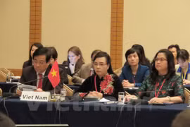 Vietnam to works harder on antimicrobial resistance: Minister 