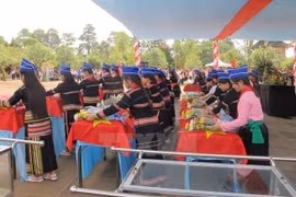 748 sets of Vietnamese martyrs’ remains in Cambodia repatriated