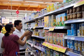Vietnamese retailers must grow up: experts
