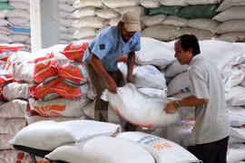Rice shipments drop in nine months