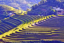 Lao Cai ramps up activities in preparation for 2017 Tourism Year