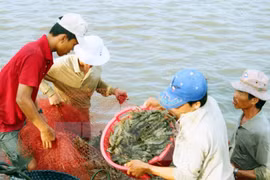 Bac Lieu plans to restructure fisheries sector