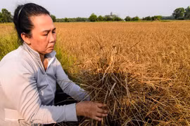 Hau Giang seeks investments for 33 projects 