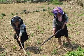 Kon Tum attempts to settle ethnic minorities, poor households 