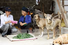 Vietnam responses to animal health and zoonoses 
