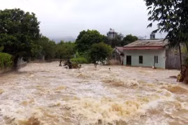 Five dead, 14 missing as consequences of storm Wipha 