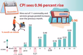 CPI sees 0.96 percent rise in November