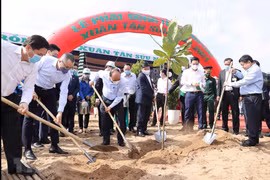 Tree planting festival: Individual trees make a forest