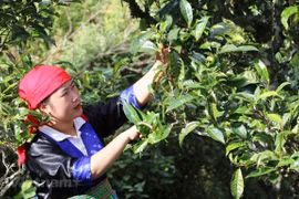 Changing minds helps farmers change lives