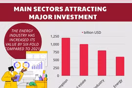 Mergers and acquisitions in Vietnam