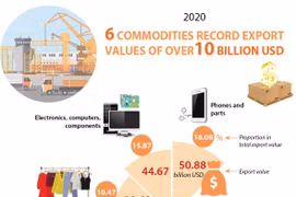 Six commodities record export values of over 10 billion USD in 2020