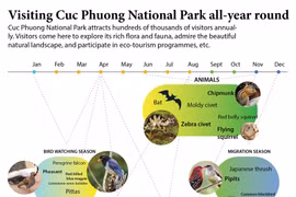 Visiting Cuc Phuong National Park all-year round