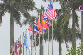 SEA Games 31: Singaporean table tennis team arrives in Vietnam