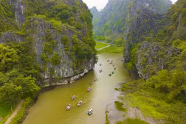 Tam Coc-Bich Dong blanketed with green rice fields