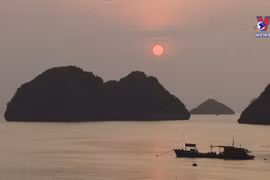 Cat Ba Island’s tourism reviving after pandemic