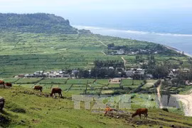 Ly Son island to become national tourism destination