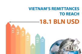 Vietnam’s remittances to reach 18.1 bln USD 