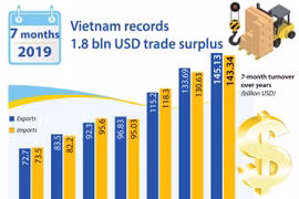 Vietnam records 1.8 bln USD trade surplus in 7 months