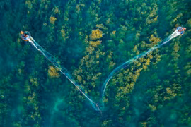 Seaweed forest in Quang Ngai