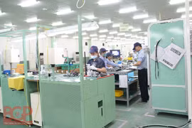 Bac Giang tapping biotechnology in socio-economic development
