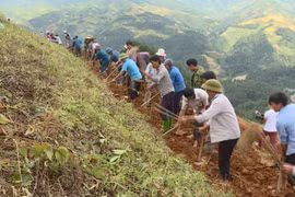 Civil servants spend weekends assisting local residents