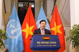FM: Vietnam supports efforts towards nuclear disarmament