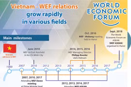 Vietnam - WEF relations grow rapidly in various fields