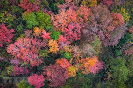 Colourful winter in mountainous province