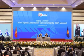 Prompt action needed to seize opportunities, navigate challenges under RCEP