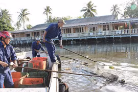Pollution harming Phu Quoc Island environment 