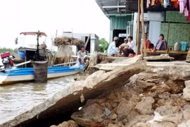Severe erosion along Ca Mau coastline