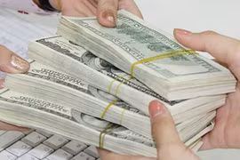 Vietnam remittances hit 3.7 billion USD in October